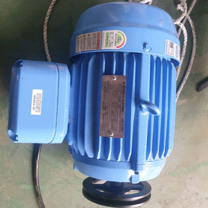 현대일렉트릭 모터 2.2KW(3HP) 4P 220/38