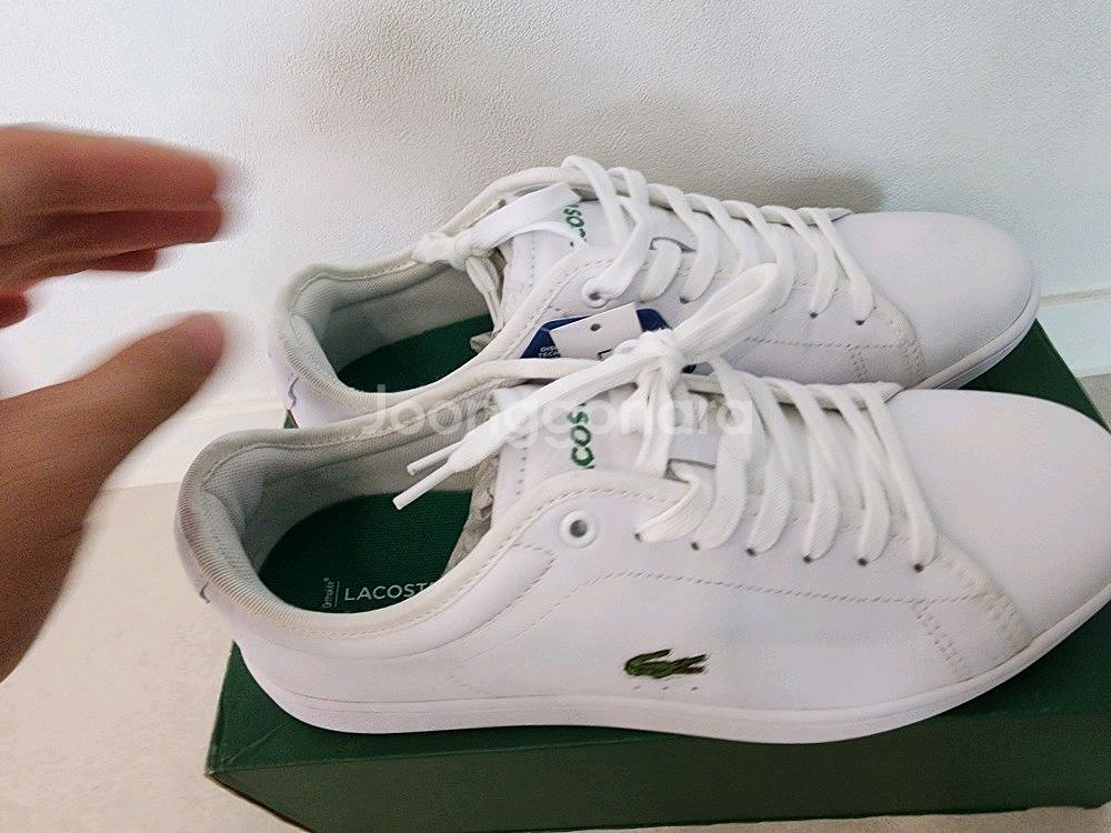 250~260mm 모두다맞아요신발 라코스테 정품 새상품--0