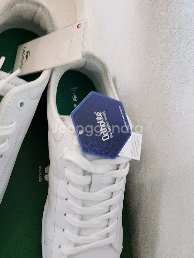 250~260mm 모두다맞아요신발 라코스테 정품 새상품--7