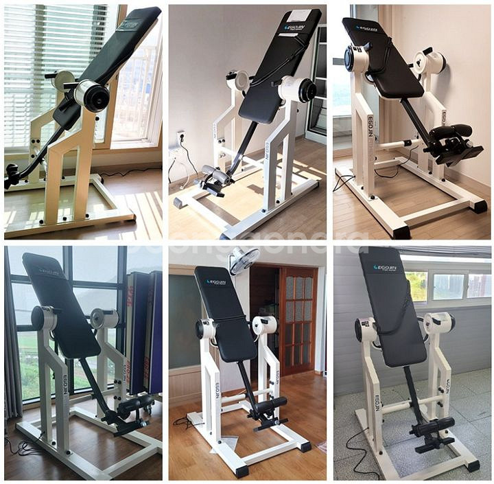 전동거꾸리. 이고진 전동거꾸리--1