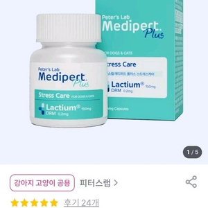 반려동물 분리불안 스트레스 영양제