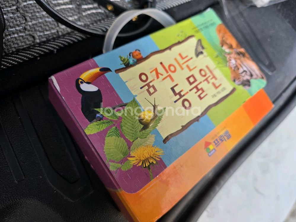 프뢰벨 성장발달그림책--5