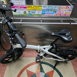 퀄리 엑스트론 프로 미니 25년형 48V 500W