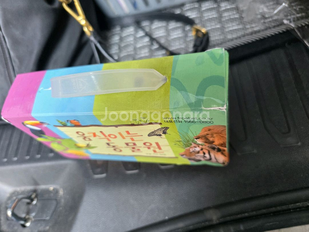 프뢰벨 성장발달그림책--8