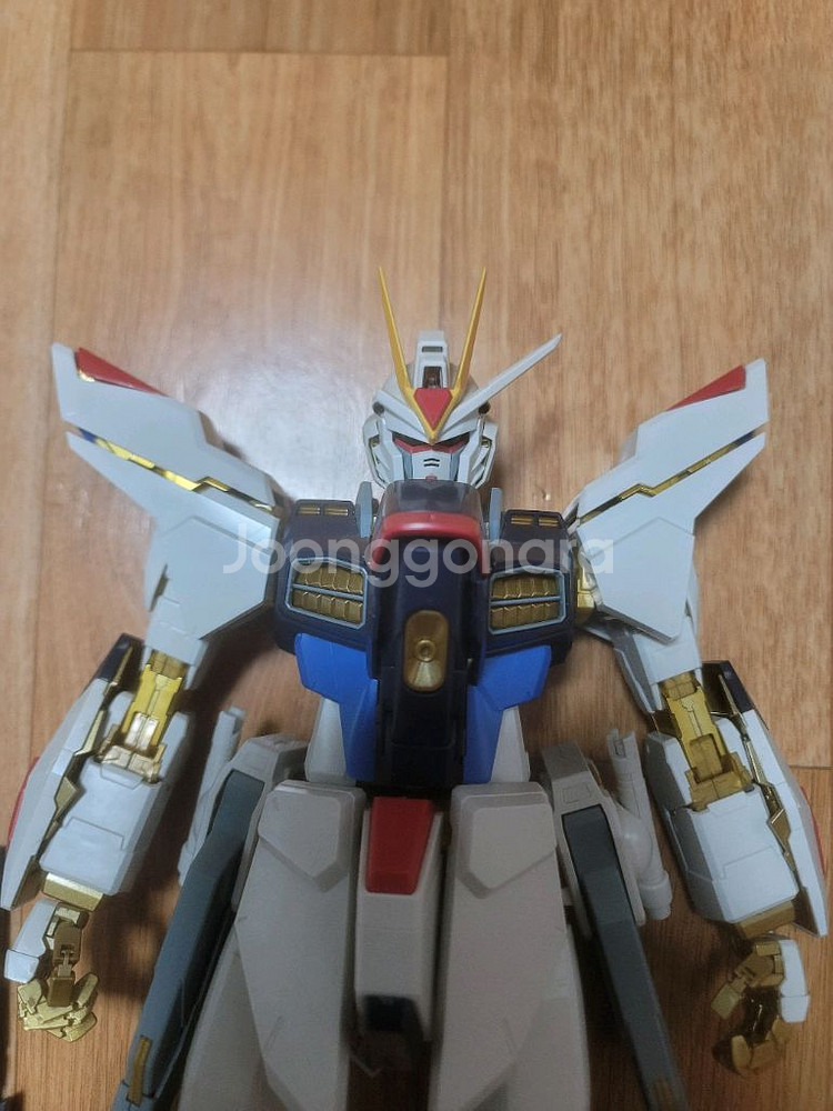 PG 1/60 스트라이크 프리덤 건담 건프라 프라모델--2