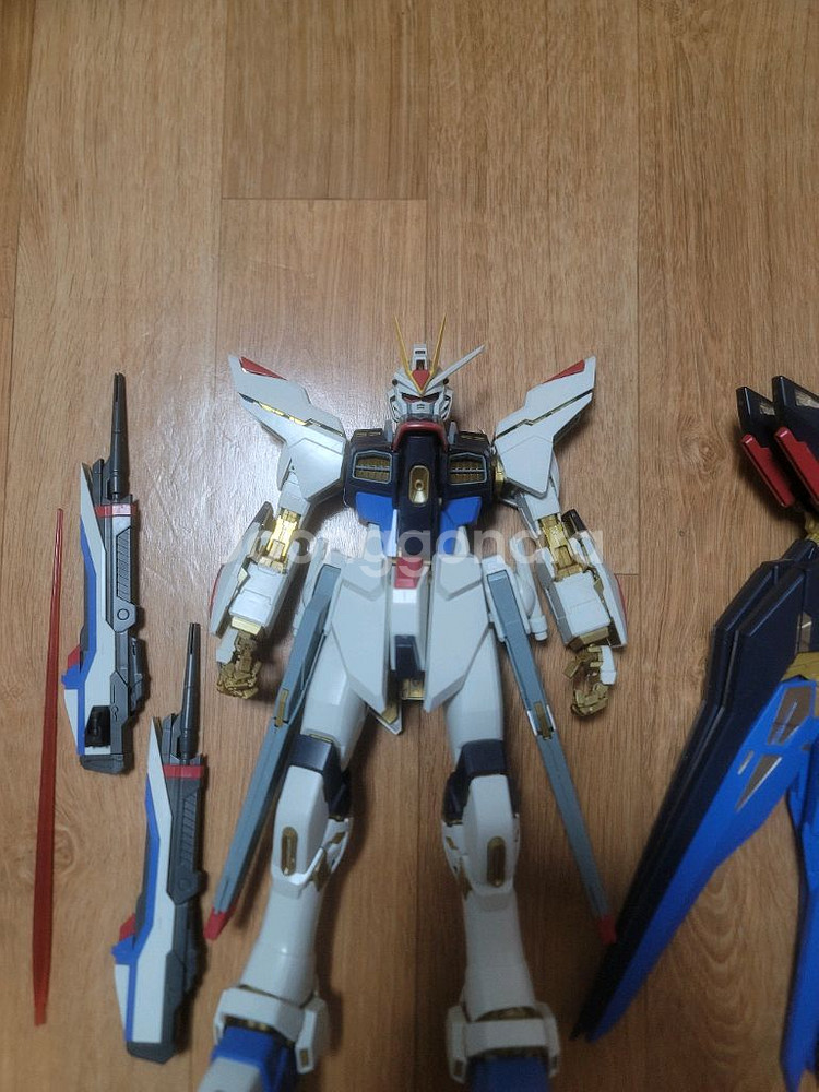 PG 1/60 스트라이크 프리덤 건담 건프라 프라모델--1
