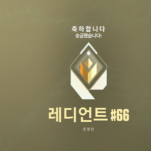 발로란트 빠른대리