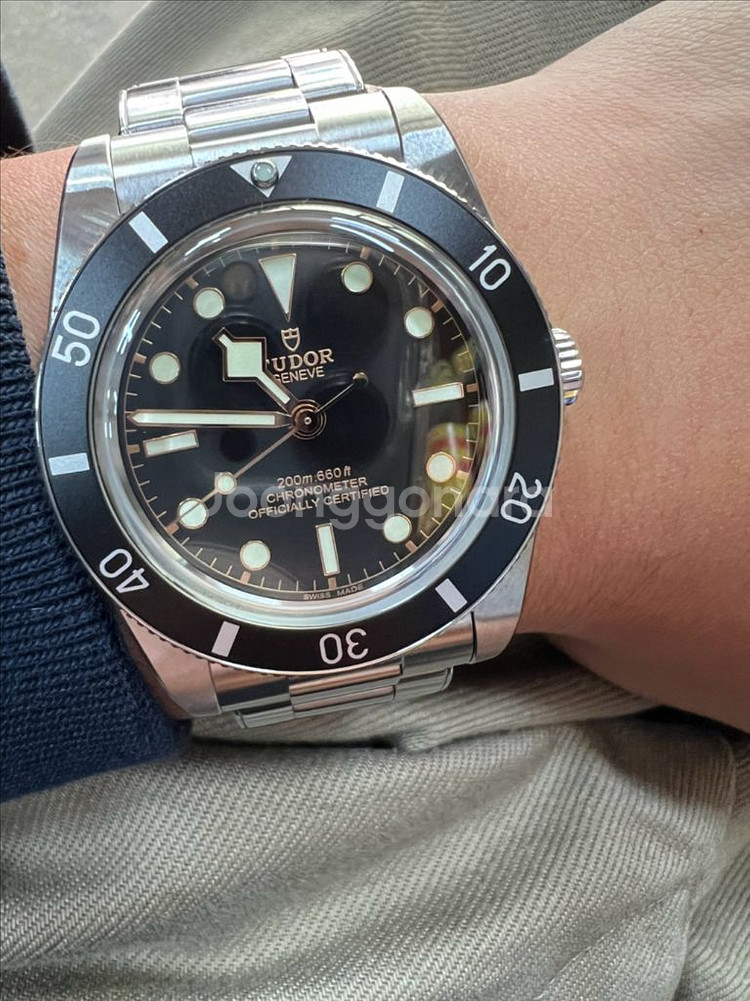 (판매/교환)튜더 블랙베이 54 (25/8)그랜드세이코--1