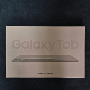 갤럭시 탭 S10 울트라 플래티넘 실버 256G 팝니다