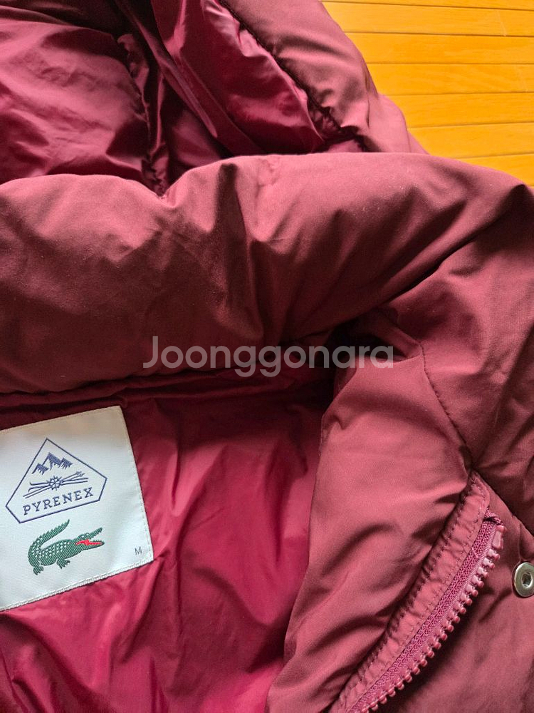 라코스테 피레넥스 콜라보 패딩 남성 M(100) 택포--6