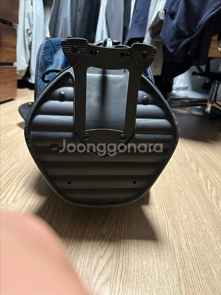 스카티카메론 스탠드백 2021 도그 월페이퍼--5