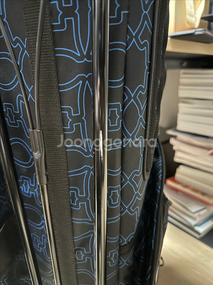 스카티카메론 스탠드백 2021 도그 월페이퍼--7