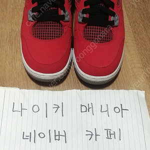 [250] 조던4 토로GS