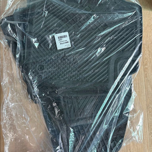폴스타4 정품 선쉐이드, 고무매트