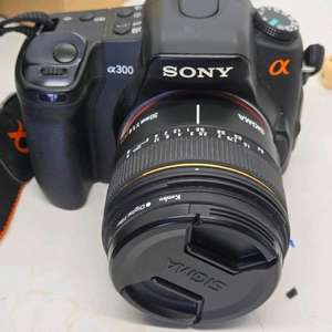 시그마 30mm 1.4 소니 알파마윤트