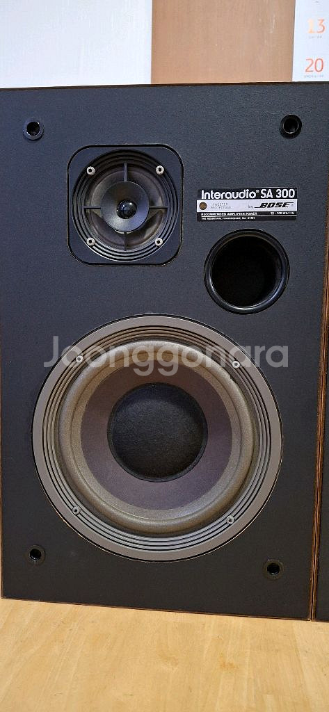 BOSE SA 300 interaction--2