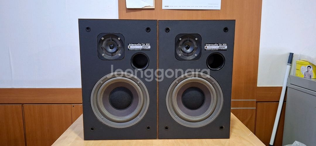 BOSE SA 300 interaction--0