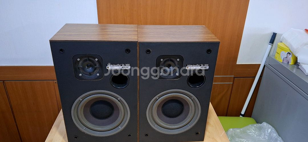 BOSE SA 300 interaction--3