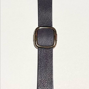 애플워치 모던버클 40mm 오베르진