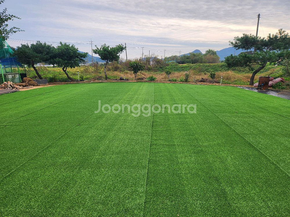 인조잔디 2mx 25m 판매--0