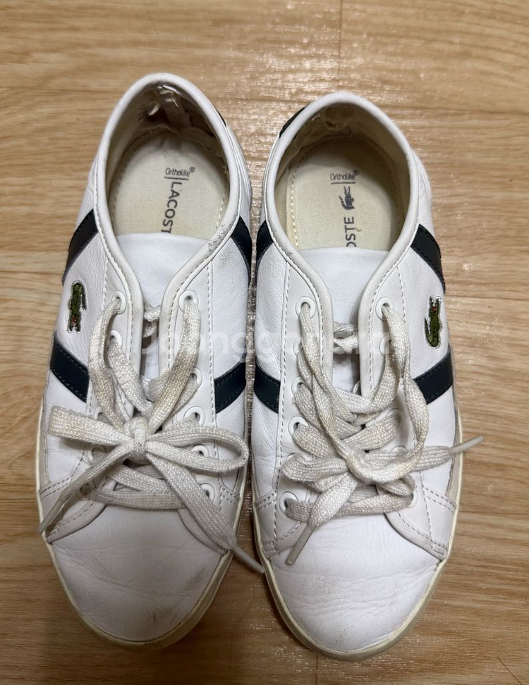 라코스테 단화 225~230--1