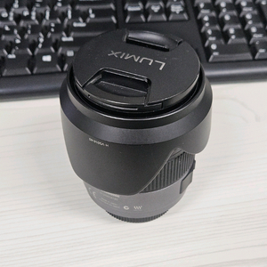 파나소닉 루믹스 14-140mm 마이크로포서드 렌즈