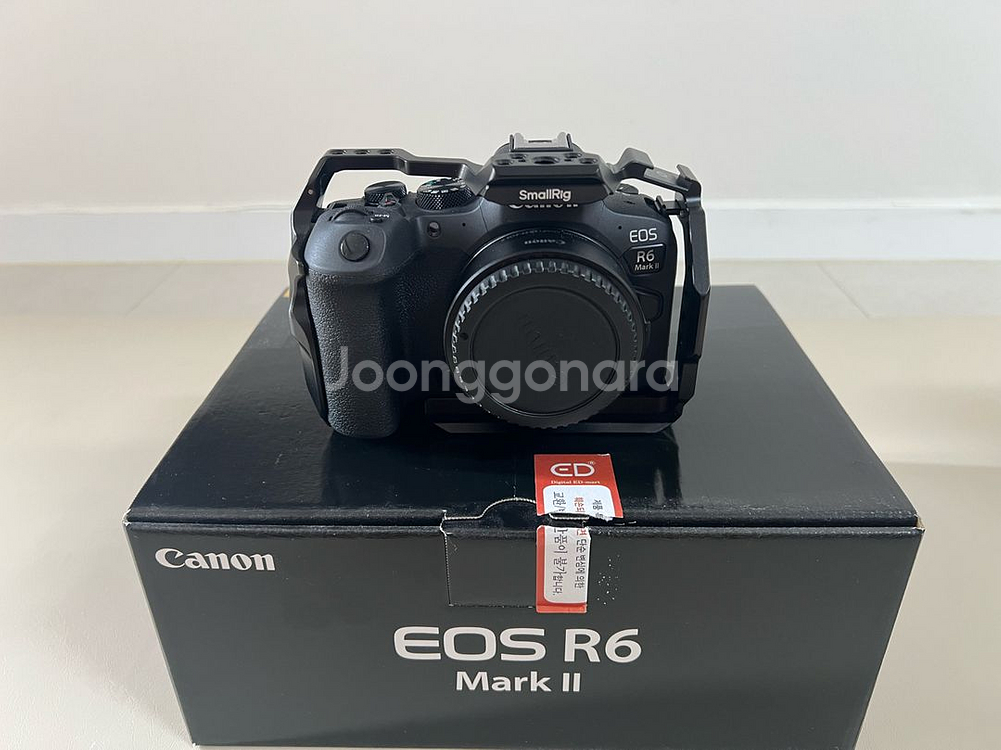 캐논 R6 Mark II 카메라+EF 렌즈 세트팝니다--1