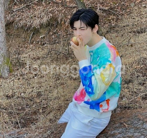 루이비통 워터컬러 모노그램 맨투맨--5