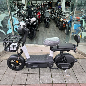 전동매니아.전기자전거