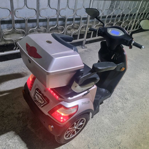 3륜 노약자 필립스 전기스쿠터