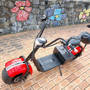 필립스 할리2인용 전기스쿠터