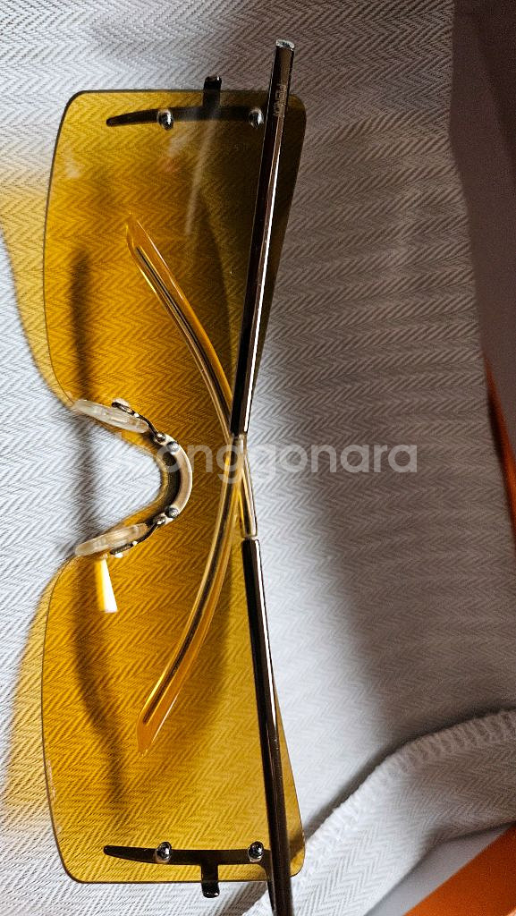 펜디선그라스--2