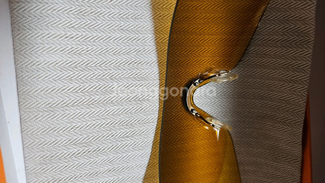 펜디선그라스--3