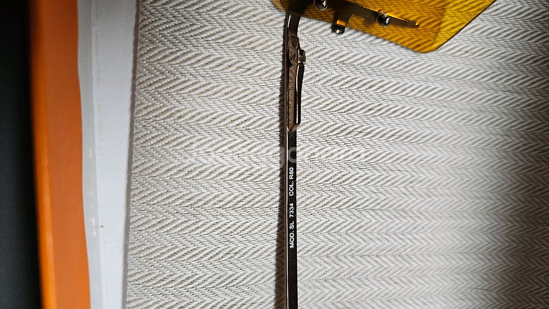 펜디선그라스--5