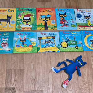 피트대캣 pete the cat 보드북 10권 & 인형