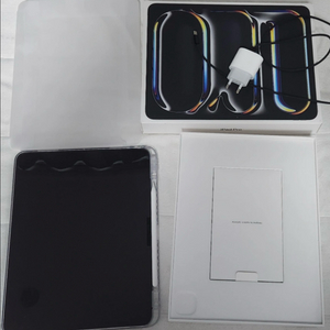 아이패드 프로 M4 13인치 1TB 와이파이