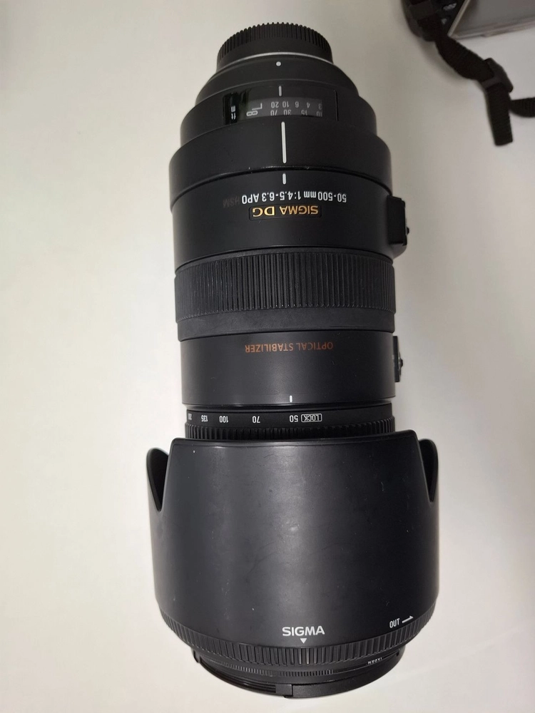 니콘 D300S 탐론 24-70 시그마 50-500 이미지