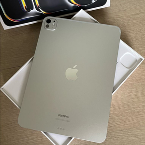 아이패드 프로11 m4 265GB wifi(애플펜슬포함