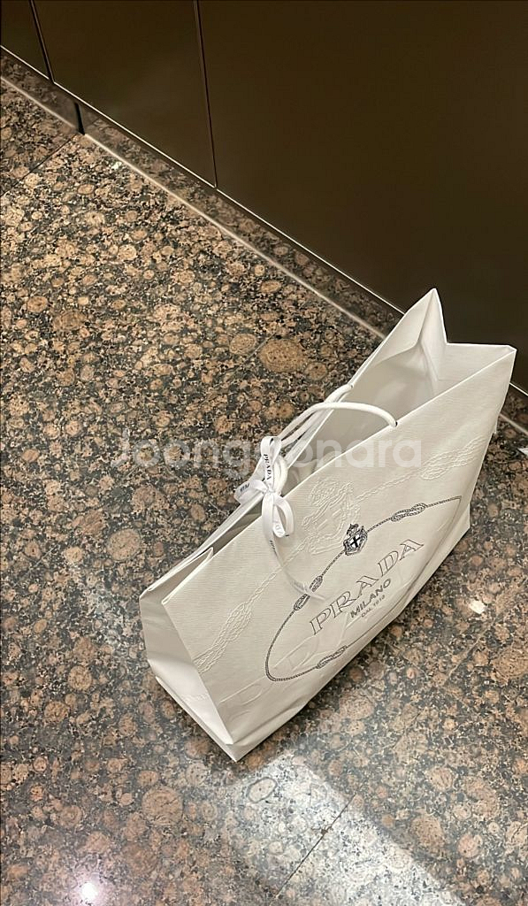 프라다 리나일론백팩 스몰--1