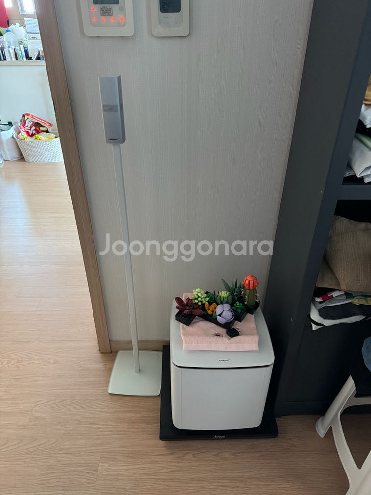 보스 라이프스타일 650 세기정품--1