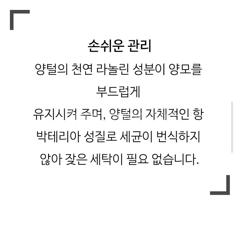 정품 플랫아웃베어 베이비/라지 2종Set 애착인형--5
