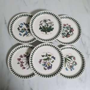 .포트메리온 브래드접시 6p