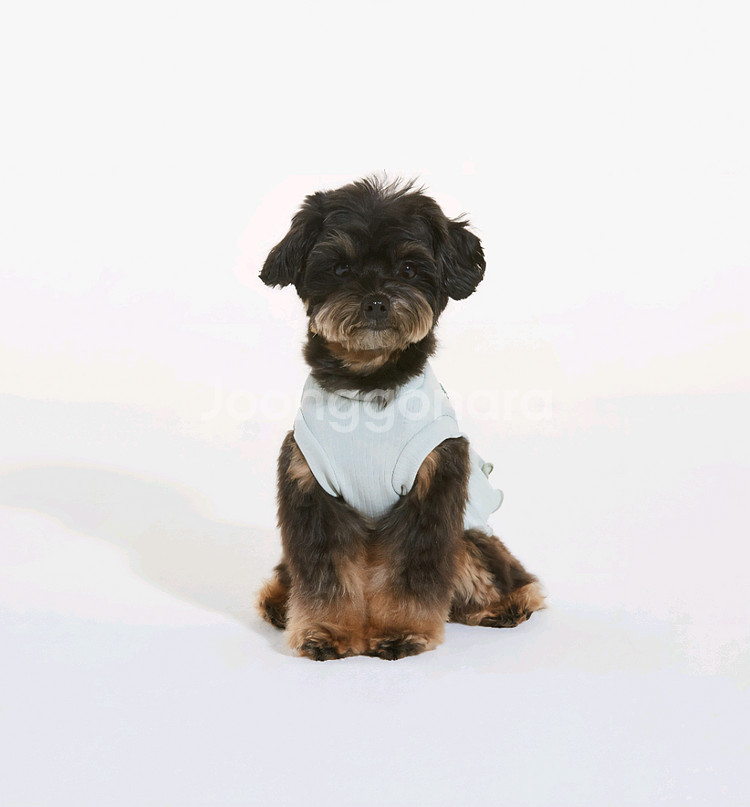 미밍코 골지 티셔츠 M--1