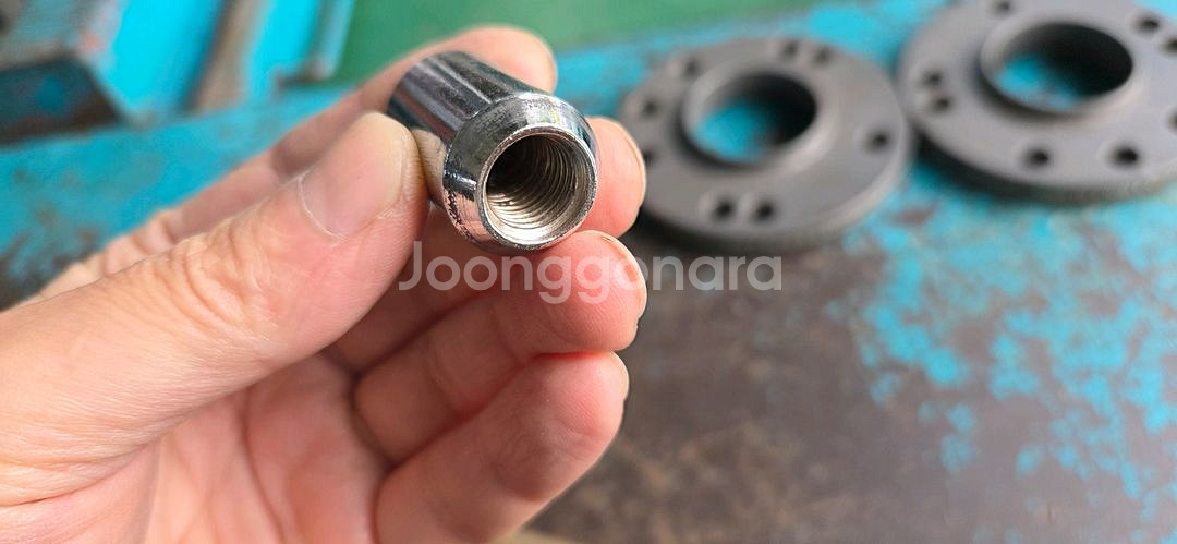 휠너트--4
