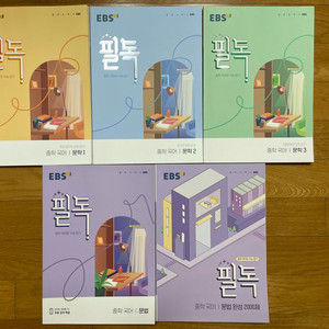 EBS 필독 중학 국어 문학 / 문법