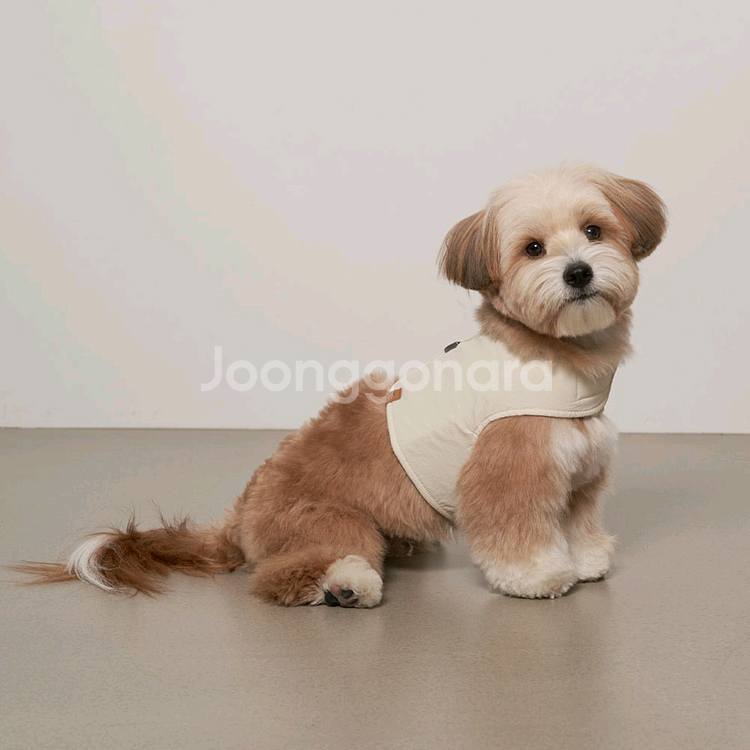 스몰스터프 쿨 워크자켓 0--1