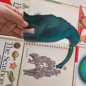 스콜라스틱 더 퍼스트 디스커버리북 12권