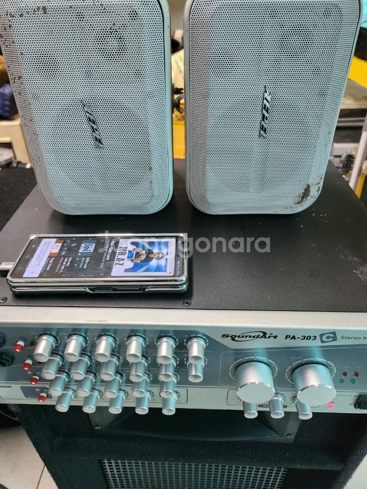 AEPEL에펠100와트스피커 1조사운드아트 PA303--0