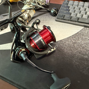 루어 낚시 로드와 릴