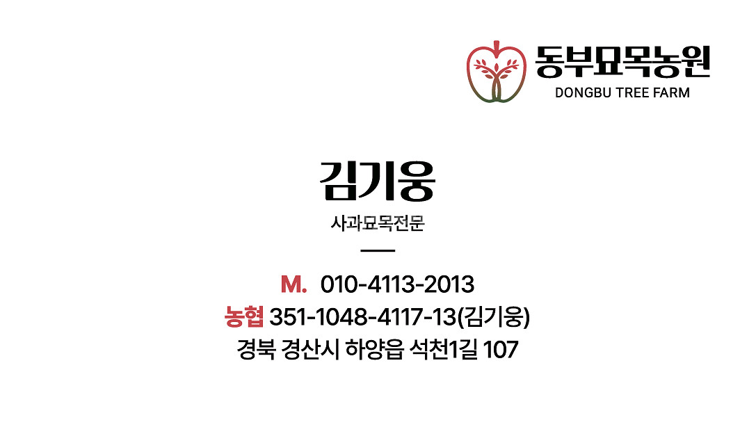 사과이지플 사과묘목--2